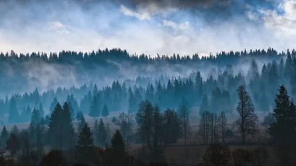 Printed roller blinds Forest in fog autumn landscape with fog