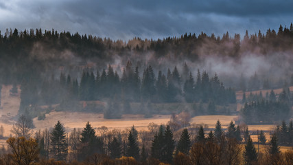 autumn landscape with fog