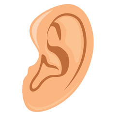 Ear Vector Illustration