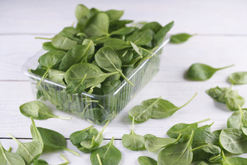 Green leaves of fresh spinach