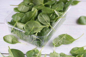 Green leaves of fresh spinach