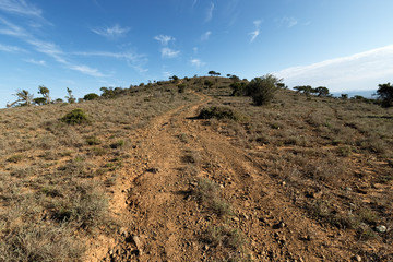 Landscape of Addo Elephant National Park in August, South Africa