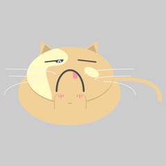 Red cat isolated on grey background