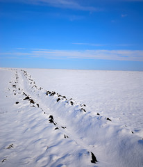 Blue Sky and a Field Covered With Snow, a Rural Landscape.