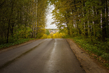Asphalt road passing through the forest