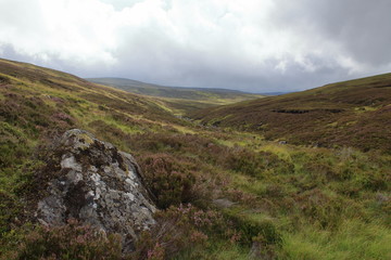 Fototapeta na wymiar highlands