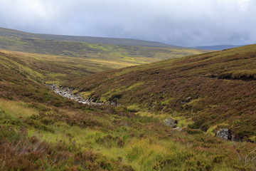 Obraz premium highlands