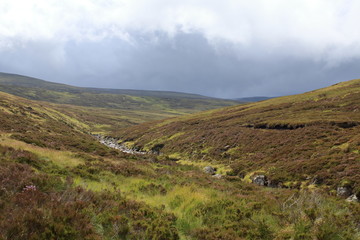 Naklejka premium highlands