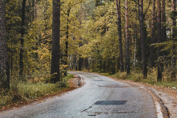 Obraz premium Asphalt road passing through the forest