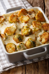 Hot baked Brussels sprouts with garlic, cheese and cream sauce close-up. vertical