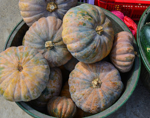 Pumpkin for sale at rural market