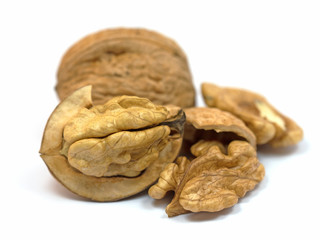 Walnüsse,  Echte Walnuss, Juglans regia