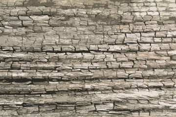gray and brown texture background  