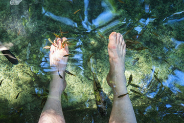 Fish spa feet pedicure skin care treatment with the fishes.