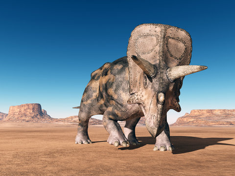 Dinosaurier Torosaurus in der Wüste
