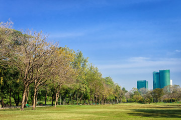Beautiful park scene in public park with green grass field,