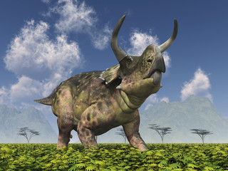 Fototapeta premium Dinosaurier Nasutoceratops