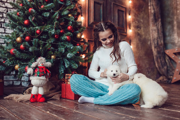 Beautiful woman with cute puppies sitting near Christmas tree. New Year.