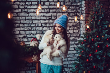 Attractive girl is holding puppies on her hands near the Christmas tree. New Year.