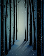 Obraz premium deep fairy frosty winter forest with mistery light, shadows, sullen winter forest, scared cold frosty woods,