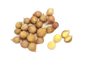 Garlic group,a kind of garlic from Thailand isolated on white background,top view.