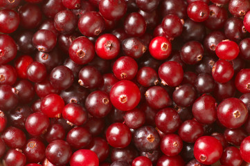 Cranberries close-up background