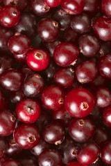 Cranberries close-up background