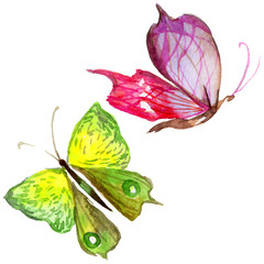 Exotic butterfly wild insect in a watercolor style isolated. Full name of the insect: butterfly. Aquarelle wild insect for background, texture, wrapper pattern or tattoo.