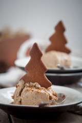 Gingerbread ice cream