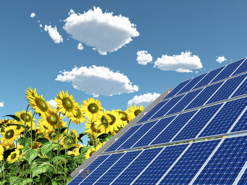 Solaranlage und Sonnenblumen