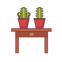 decorative cactus in a pot 