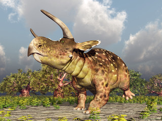 Dinosaurier Nasutoceratops