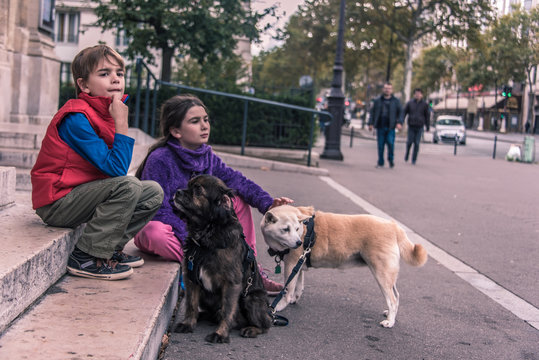 Kids waiting with Dogs