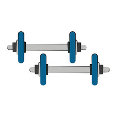 Dumbbells gym weigths icon vector illustration graphic design