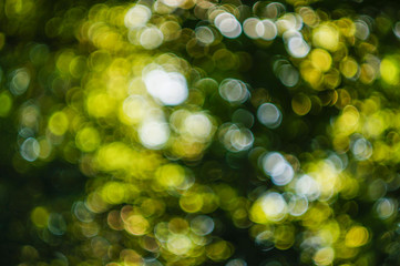 exemple of a bokeh-background, forming a circle-pattern