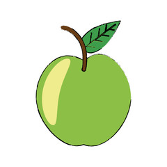 Delicious apple fruit icon vector illustration graphic design