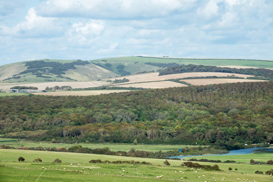 Friston Forest and Fore Down