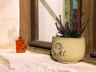 xmas preparation / decoration