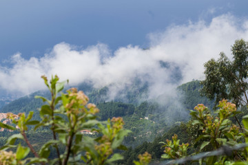 Cerros orientales Bogot&aacute;