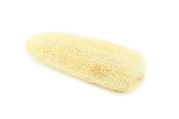 Luffa sponge  for body scrub on white background