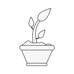 Plants in vase icon vector illustration graphic design