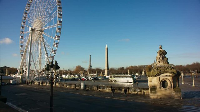Vol de pigeon sur la place de la Concorde