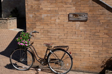 Fototapeta na wymiar Bicycle & Flower