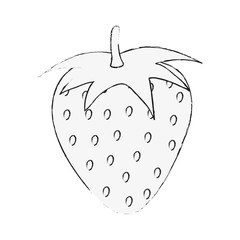 Strawberry sweet fruit icon vector illustration graphic design