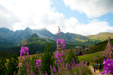 Tatry