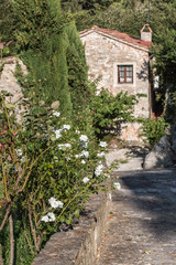 Fototapeta na wymiar Narrow Street with Stone Flooring and White Flowers in Italian Village and House with Stone Facade in background