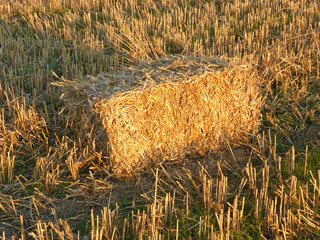 Eckiger Strohballen auf Feld