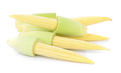 baby corn isolated on white background