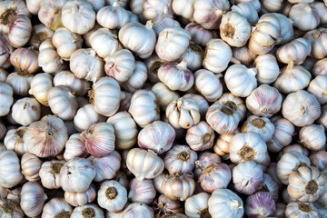 garlic, Fresh garlic - Red garlic, Garlic group background, Garlic cloves background