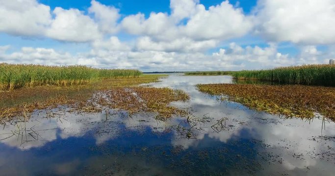 Low flight over the mirror-like reflective surface of still water with marsh plants, reeds and dry cane thickets. 4k Aerial footage.